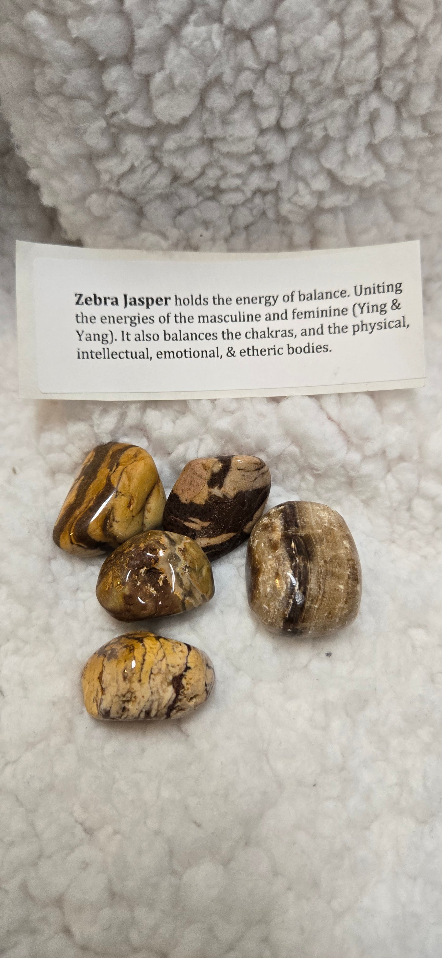 Zebra Jasper Stone