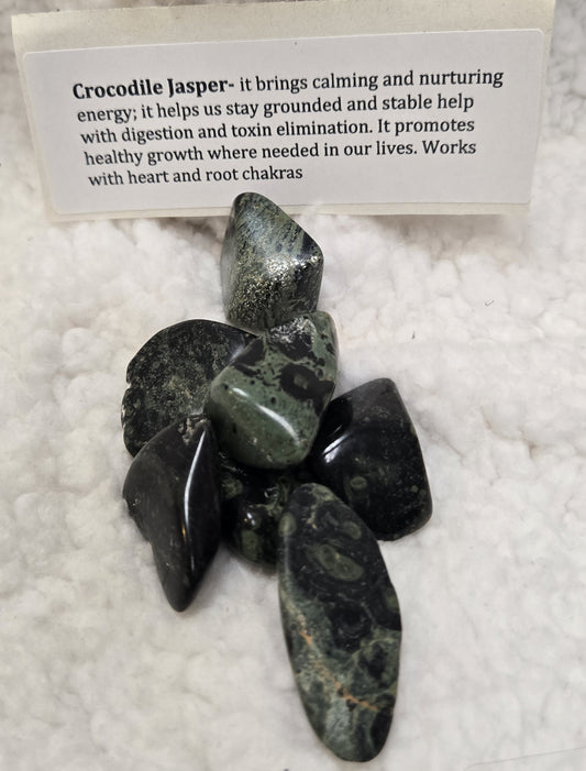 Crocodile Jasper Stone