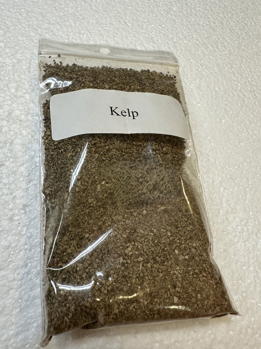 Kelp Herb