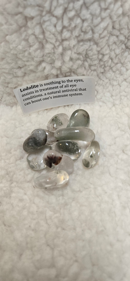 Lodolite Tumbled Stone