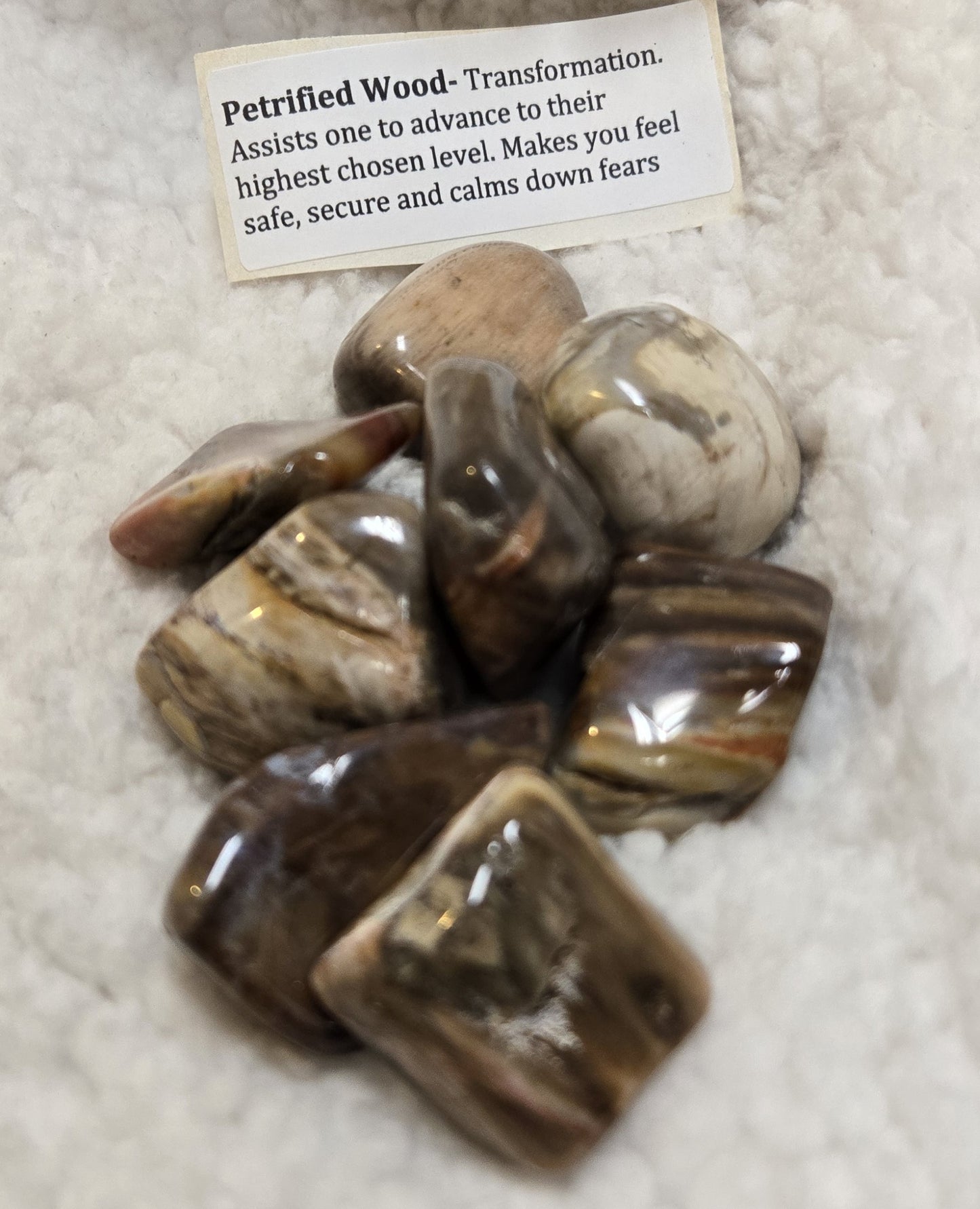 Petrified Wood Stone