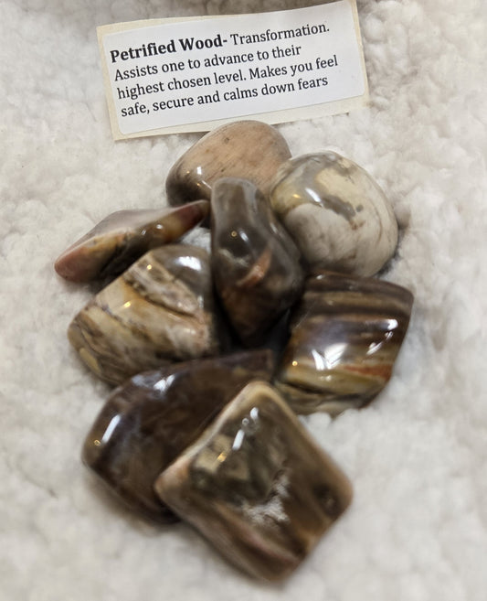 Petrified Wood Stone
