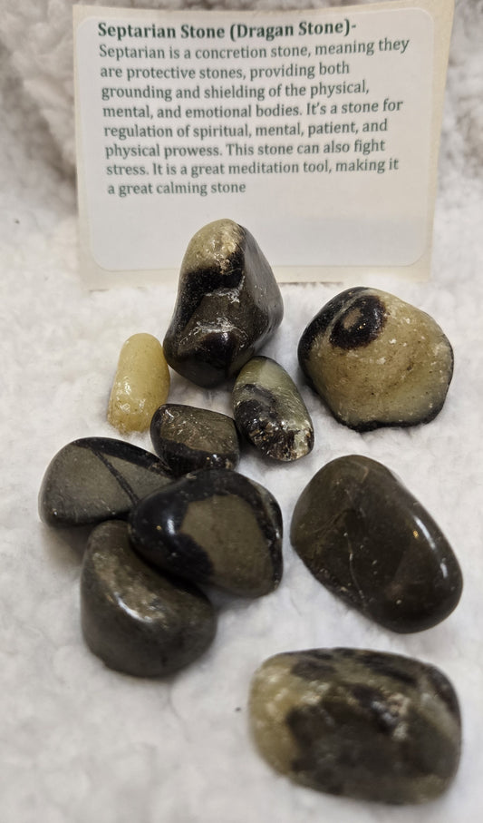 Septarian Stone Stone