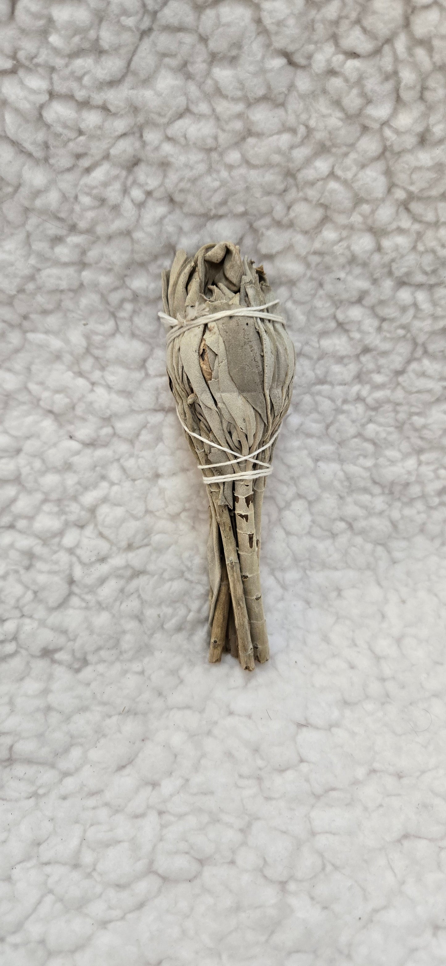 White Sage
