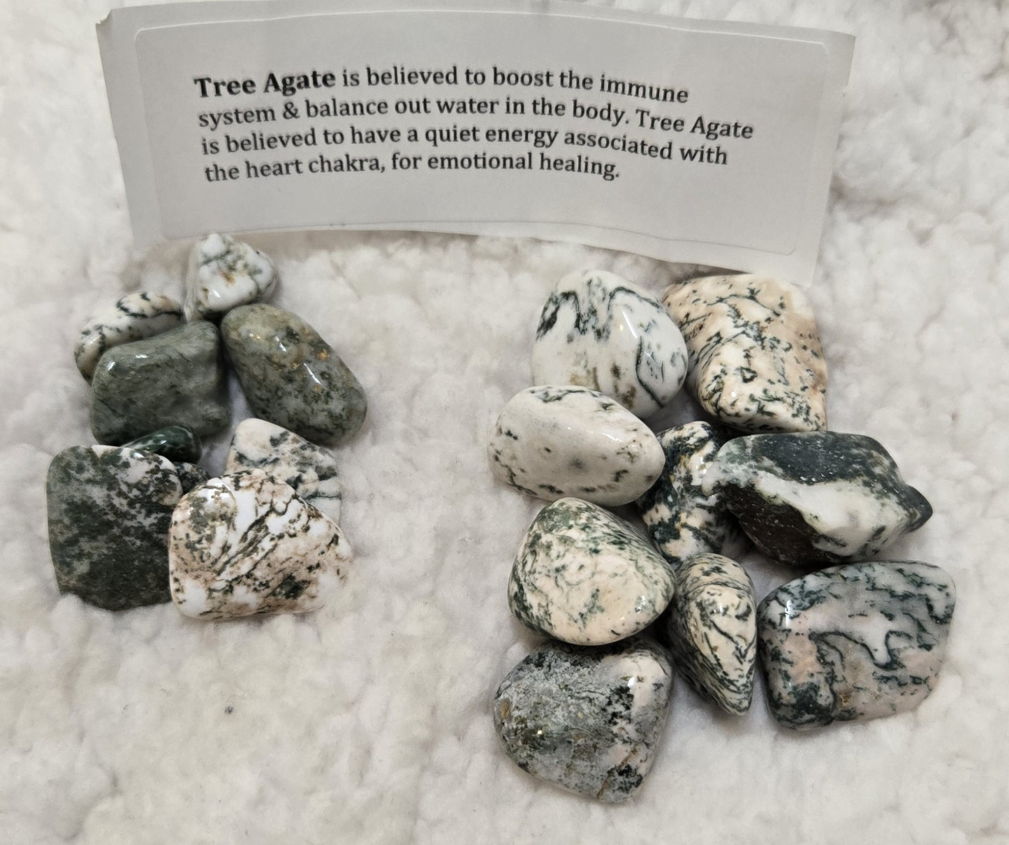 Tree Agate Stone