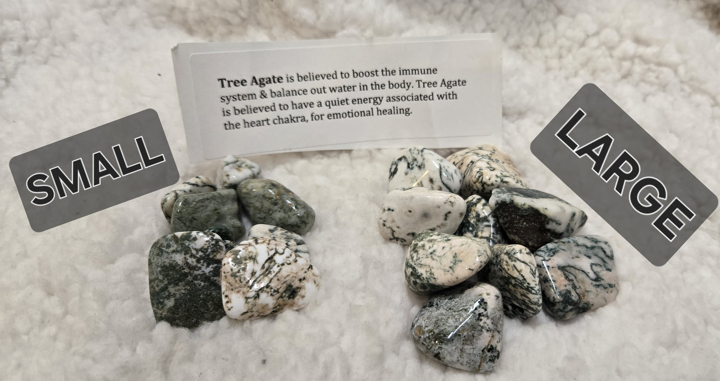 Tree Agate Stone
