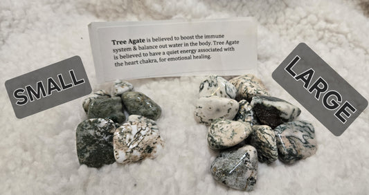 Tree Agate Stone